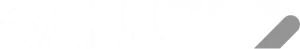 Salute logo